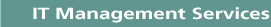 IT management services