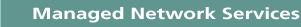 Managed network services